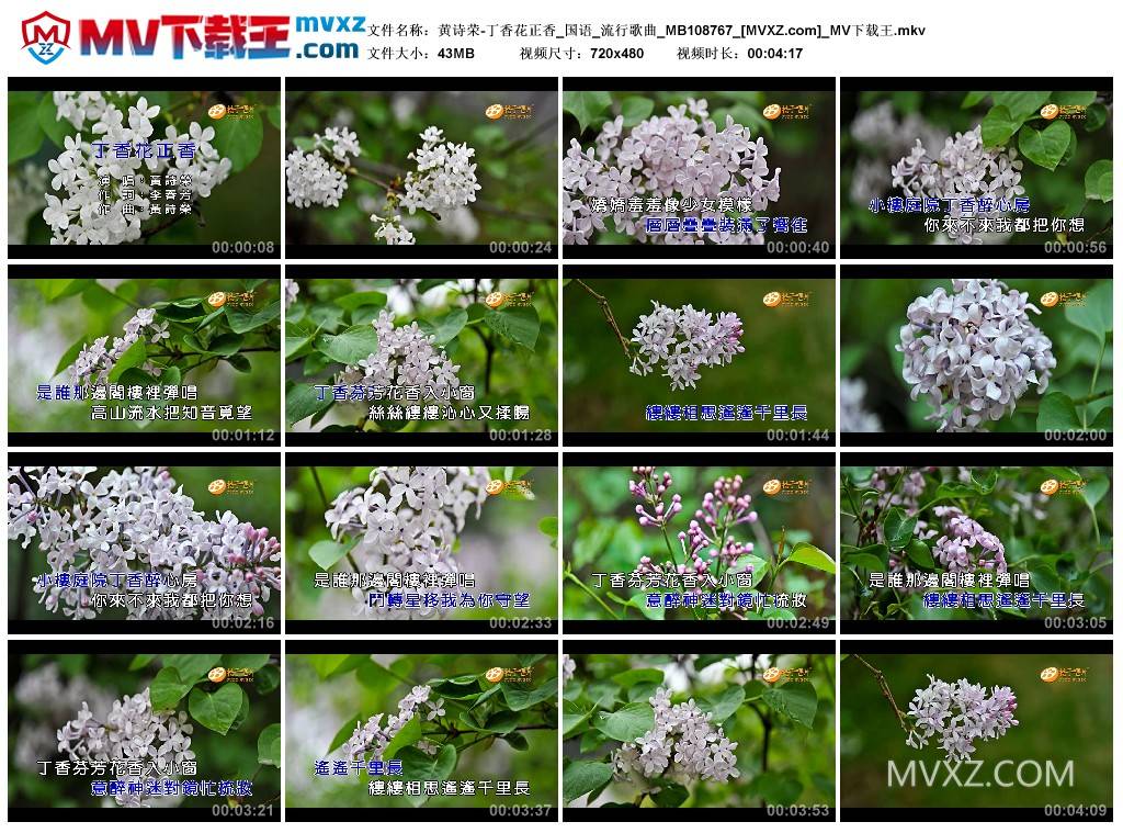 黄诗荣-丁香花正香_国语_流行歌曲_MB108767